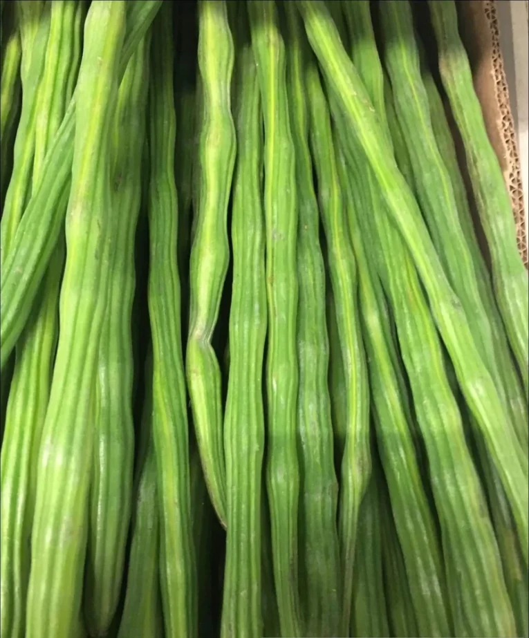 100-morng-71-hk-long-drumstick-sehjan-moringa-oleifera-100seeds-original-imagjhx3ys7wedvu