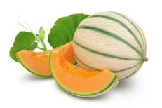 Muskmelon