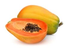 Papaya - Papita