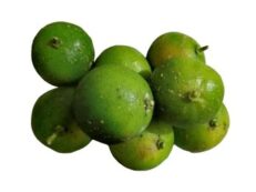 Mausmi