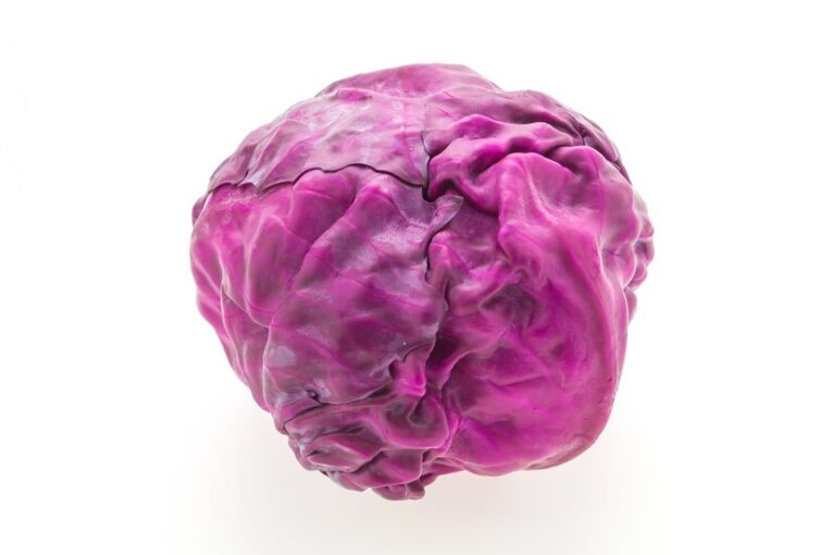 Red cabbage