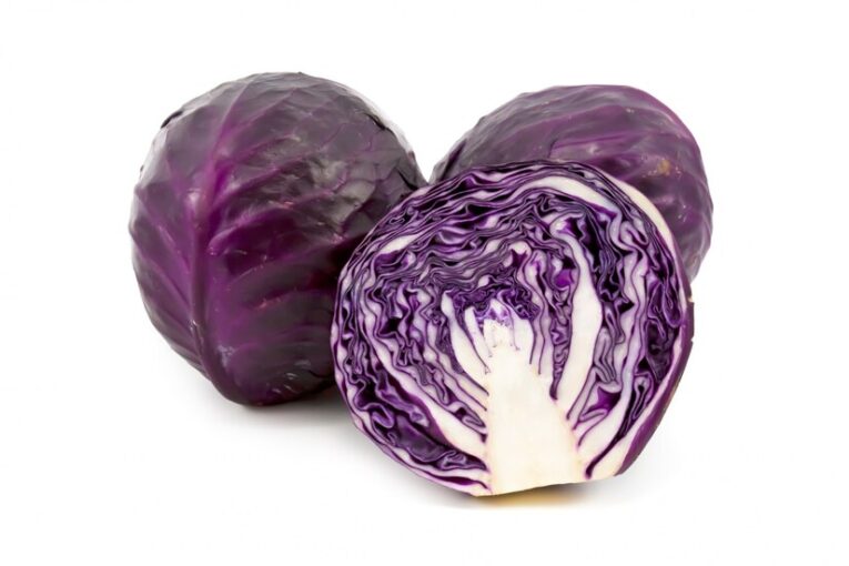 Red cabbage3