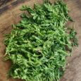 chana saag