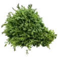 Channa Saag