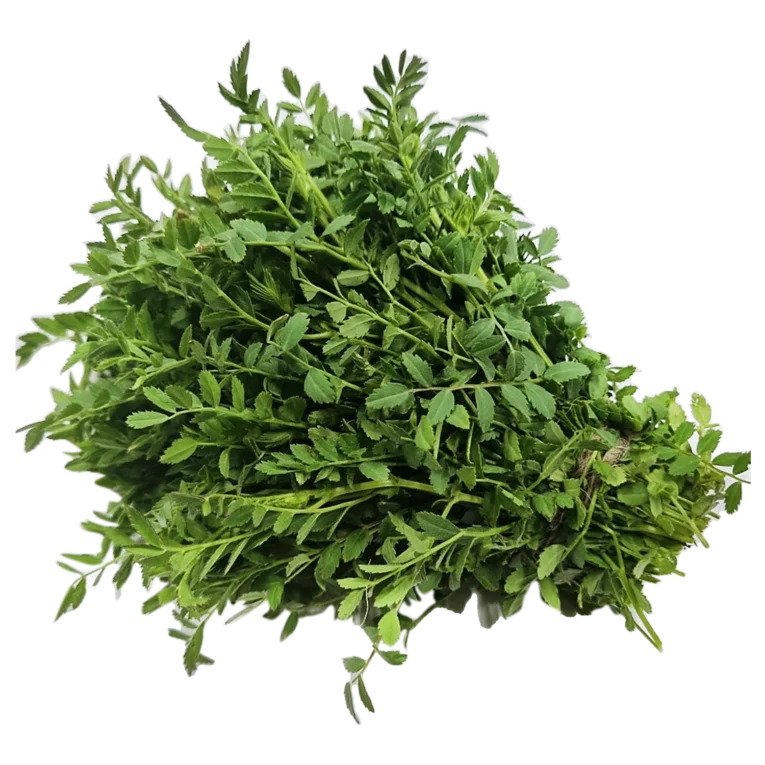 Channa Saag