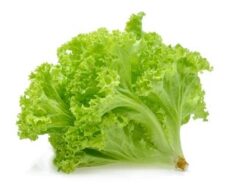 Lettuce Green