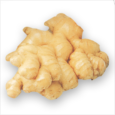 Ginger New 1