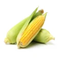 HPL_CORSWKEXX500A1_20220729103103
