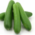 Kheera Seedless
