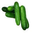 Kheera Seedless 2