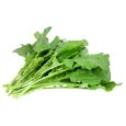 Saag-_Bunch_563cc15e-0697-495f-a8cc-ac07ae68b02c_grande