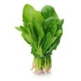 fresh-spinach-palak