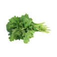 mustard-leaves-bunch