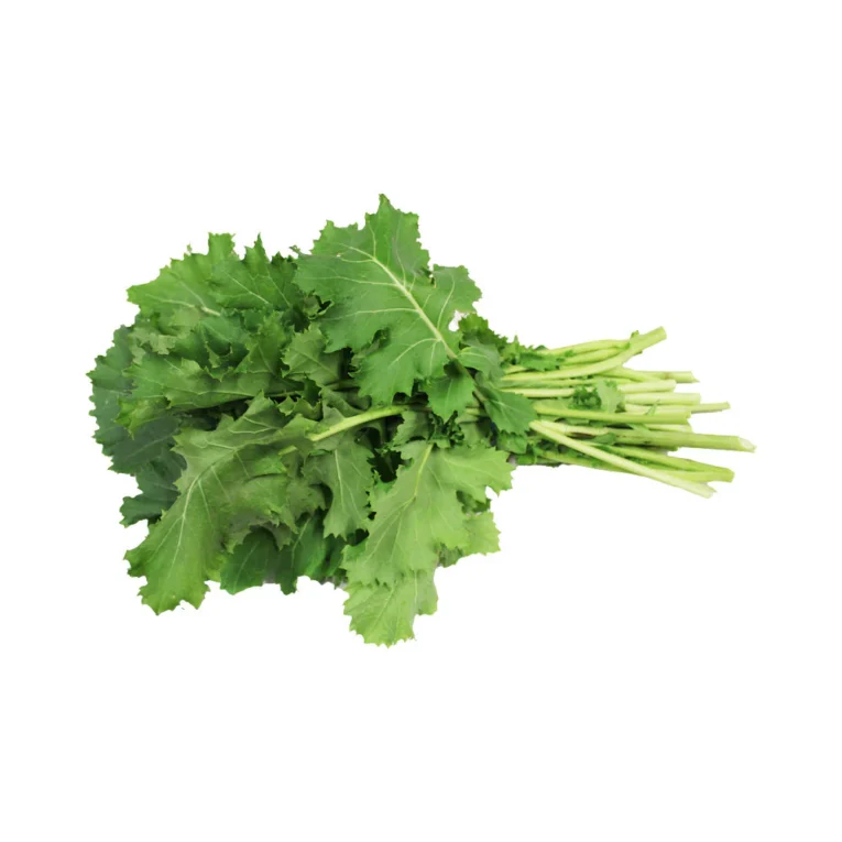 mustard-leaves-bunch